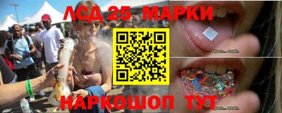 стаф Гай