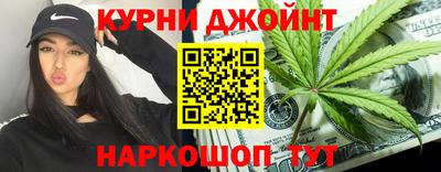 стаф Гай