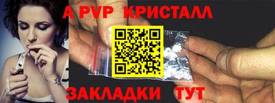 стаф Гай