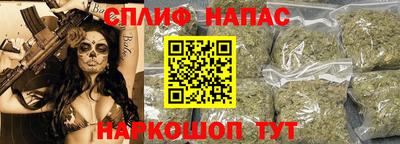 стаф Гай