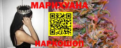 стаф Гай