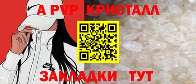стаф Гай