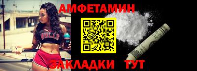 стаф Гай