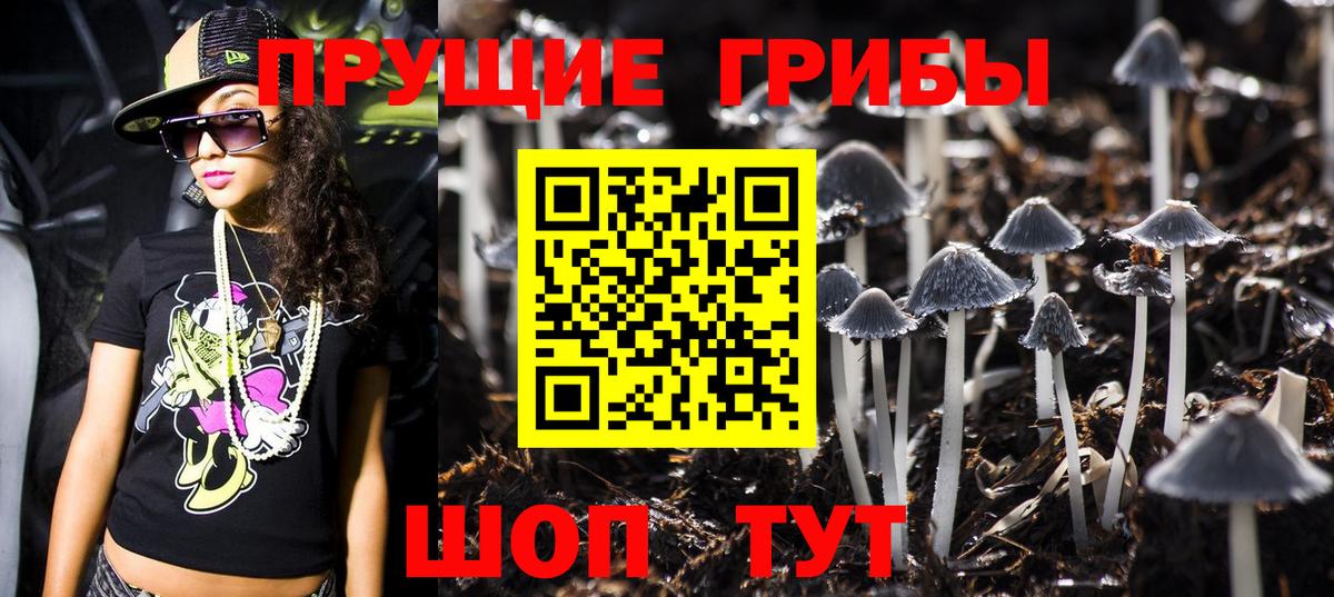 Краснокамск  Псилоцибиновые грибы Psilocybe  купить   Вход с VPN 
